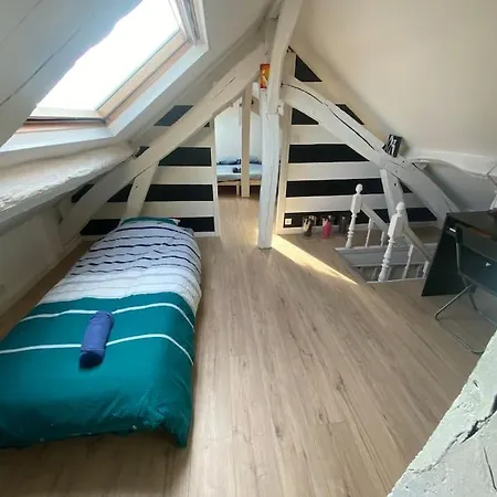 Apartment Le Diplomate De Nicolas Mesnager Rouen
