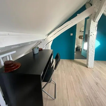Apartment Le Diplomate De Nicolas Mesnager *